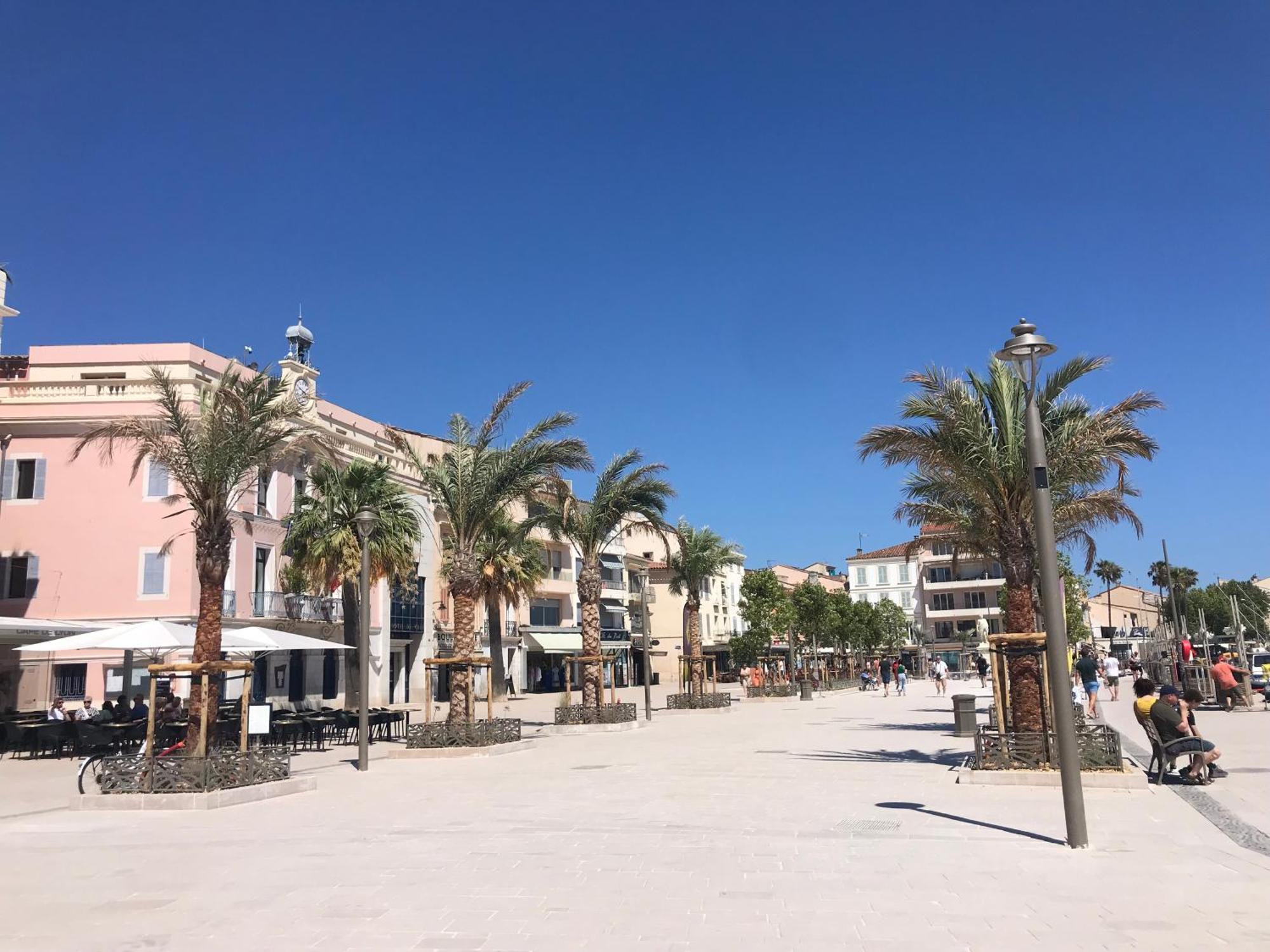 Emplacement Ideal, Vue Mer, Parking Offert Санарі-сюр-Мер Екстер'єр фото